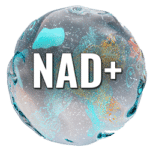 nad plus injection